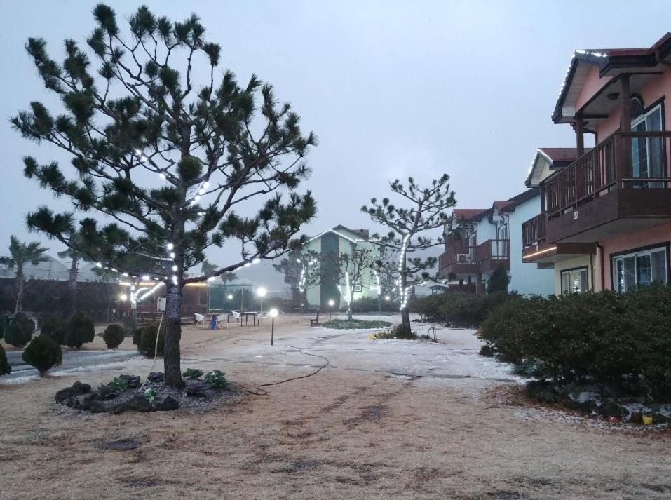 Jeju Time-Travel Pension Exterior photo
