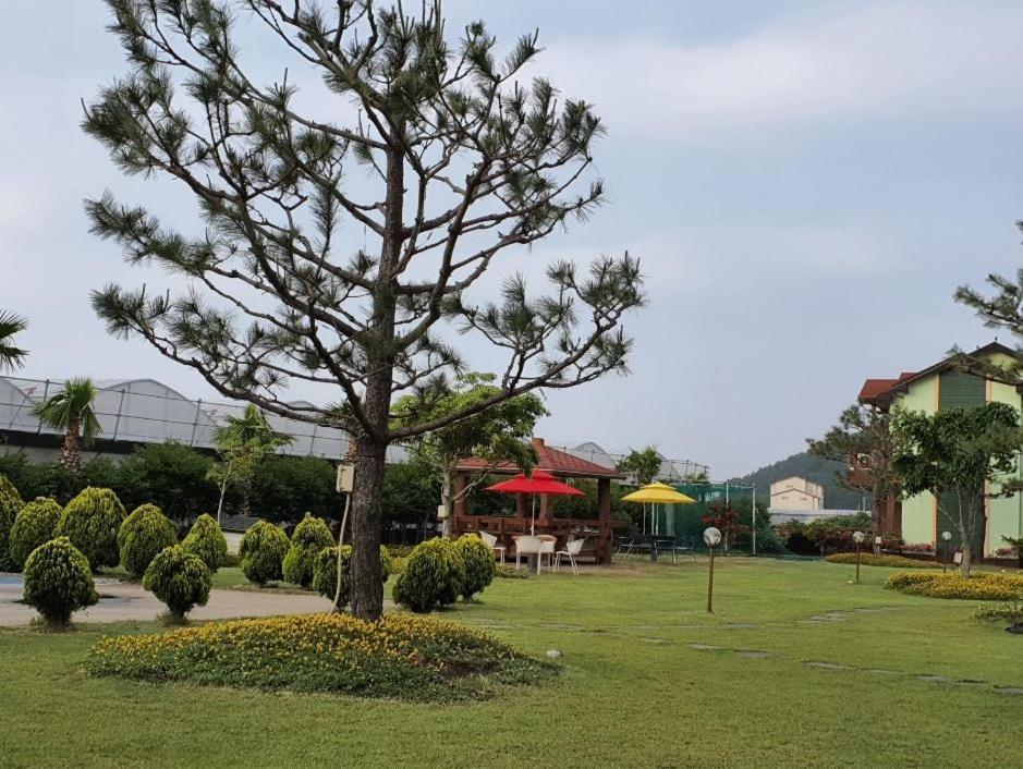 Jeju Time-Travel Pension Exterior photo