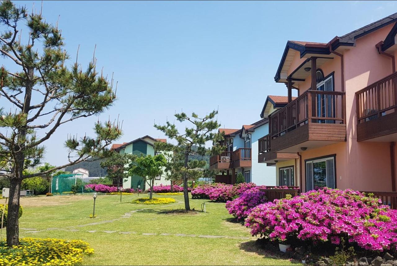 Jeju Time-Travel Pension Exterior photo